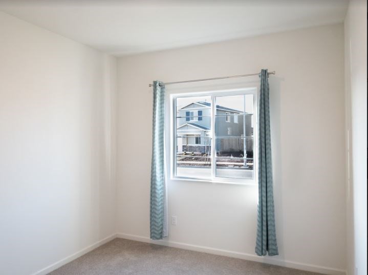 Gallery Photo 2