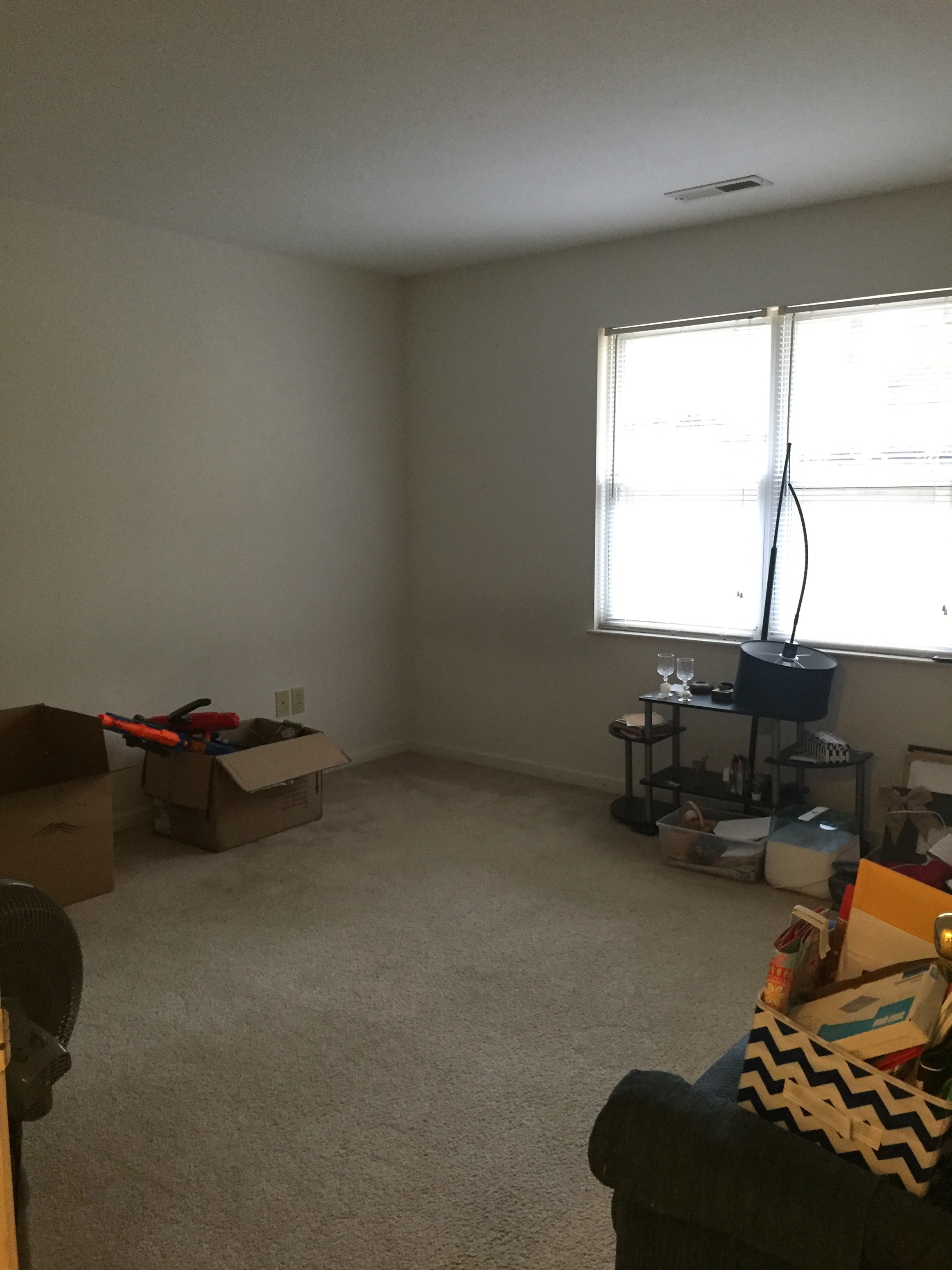 Gallery Photo 11