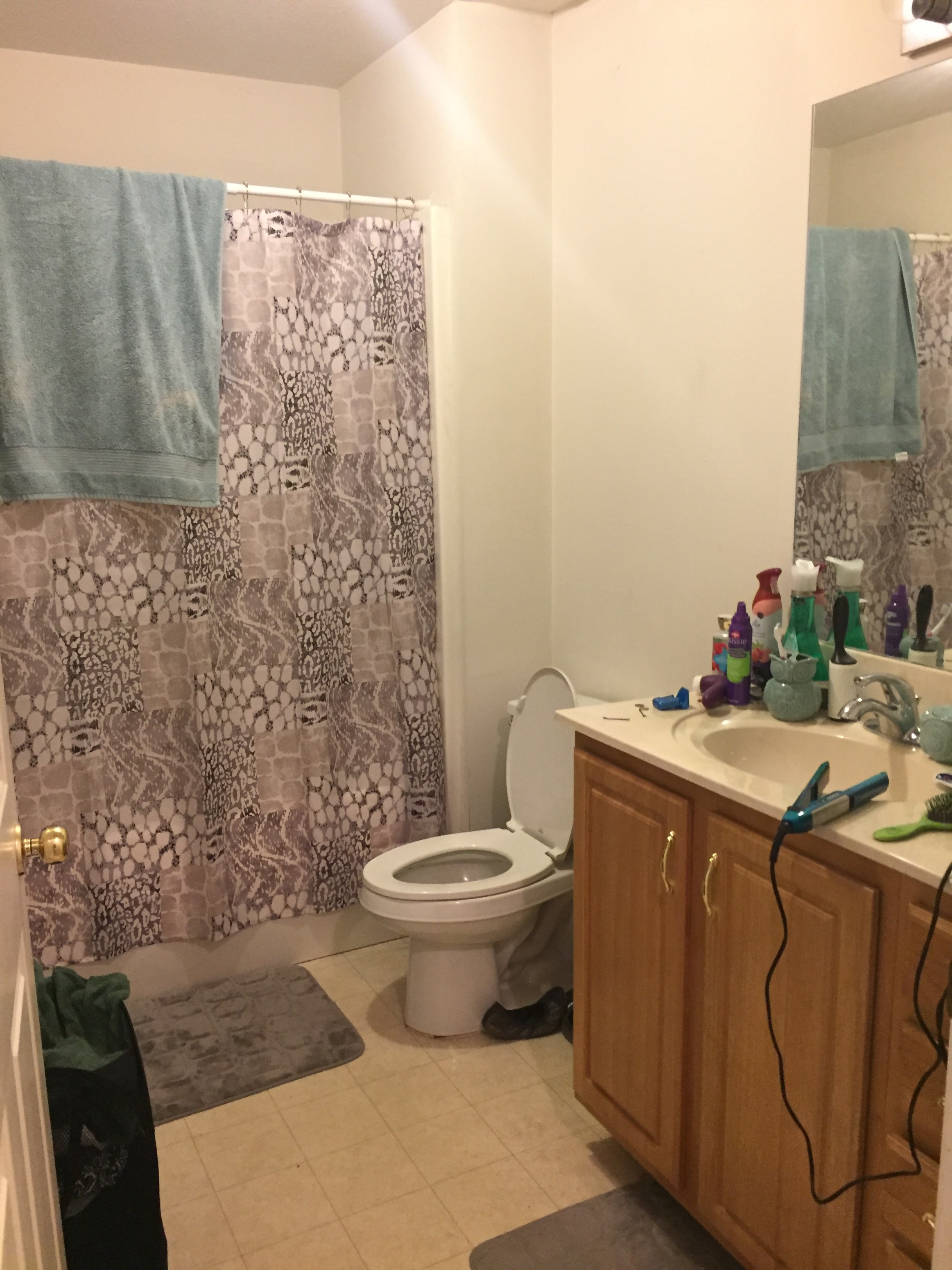 Gallery Photo 1