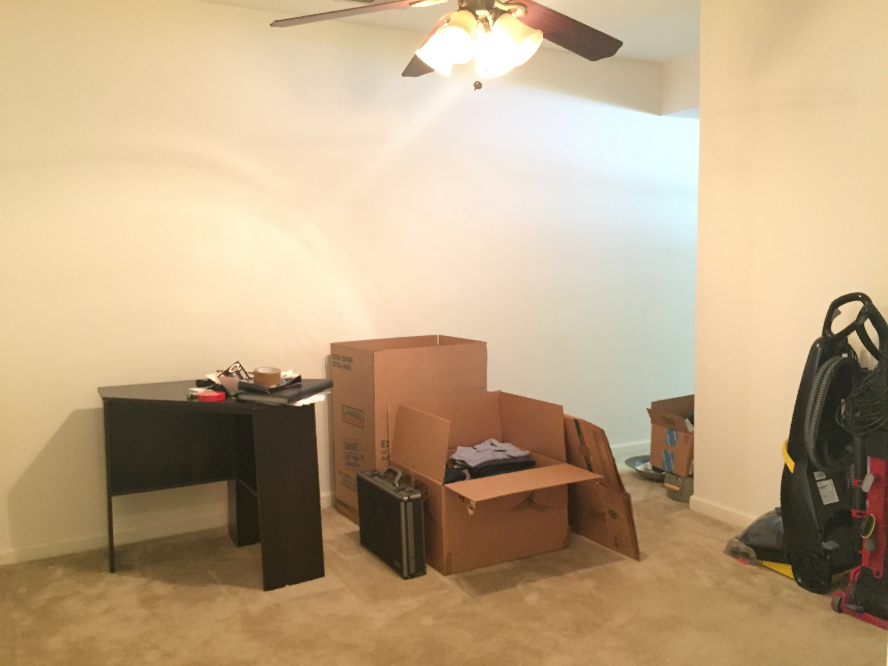 Gallery Photo 7