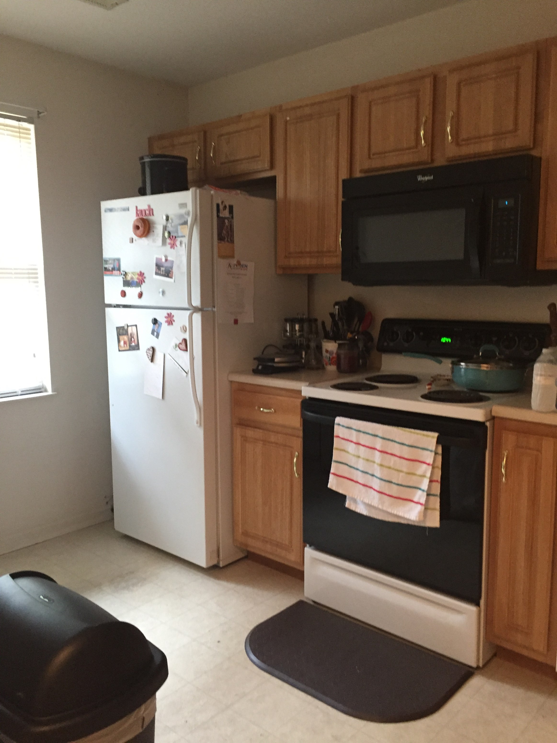 Gallery Photo 6