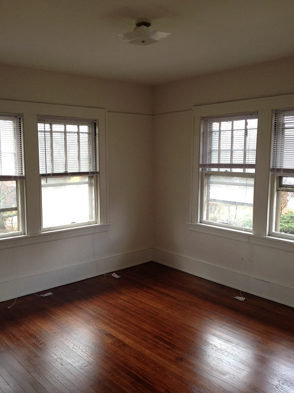 Gallery Photo 3