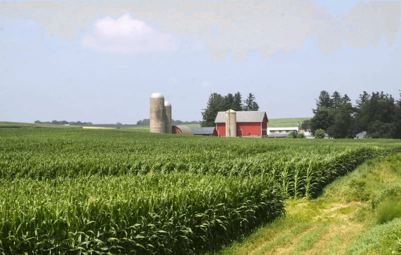 Photos and Video of The Meadows in Darlington, WI