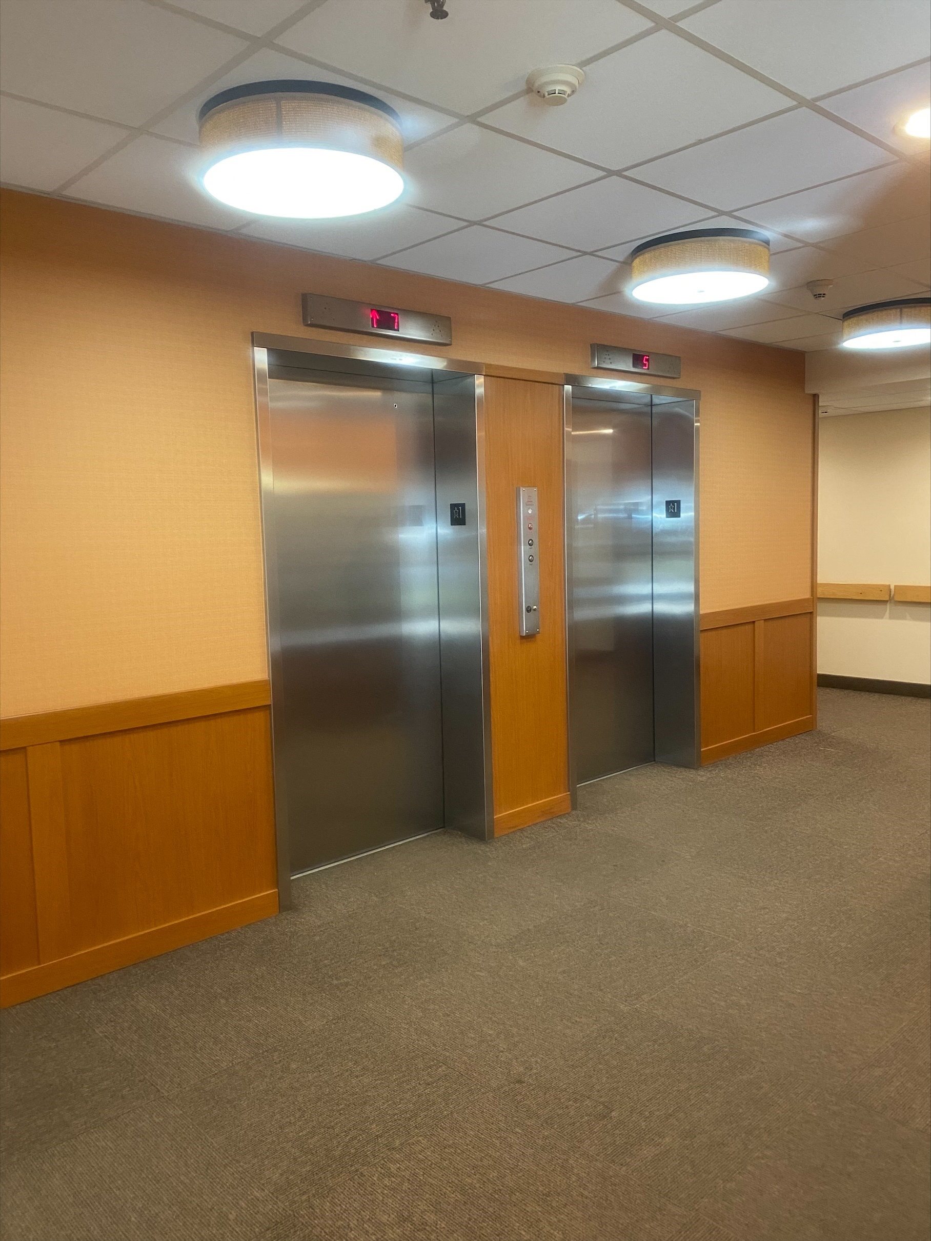 Gallery Photo 2