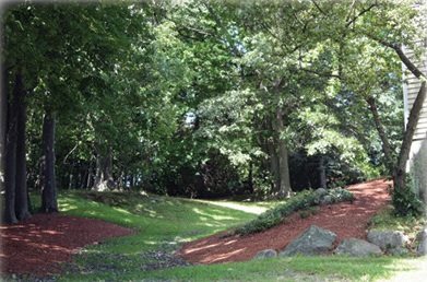 Grounds