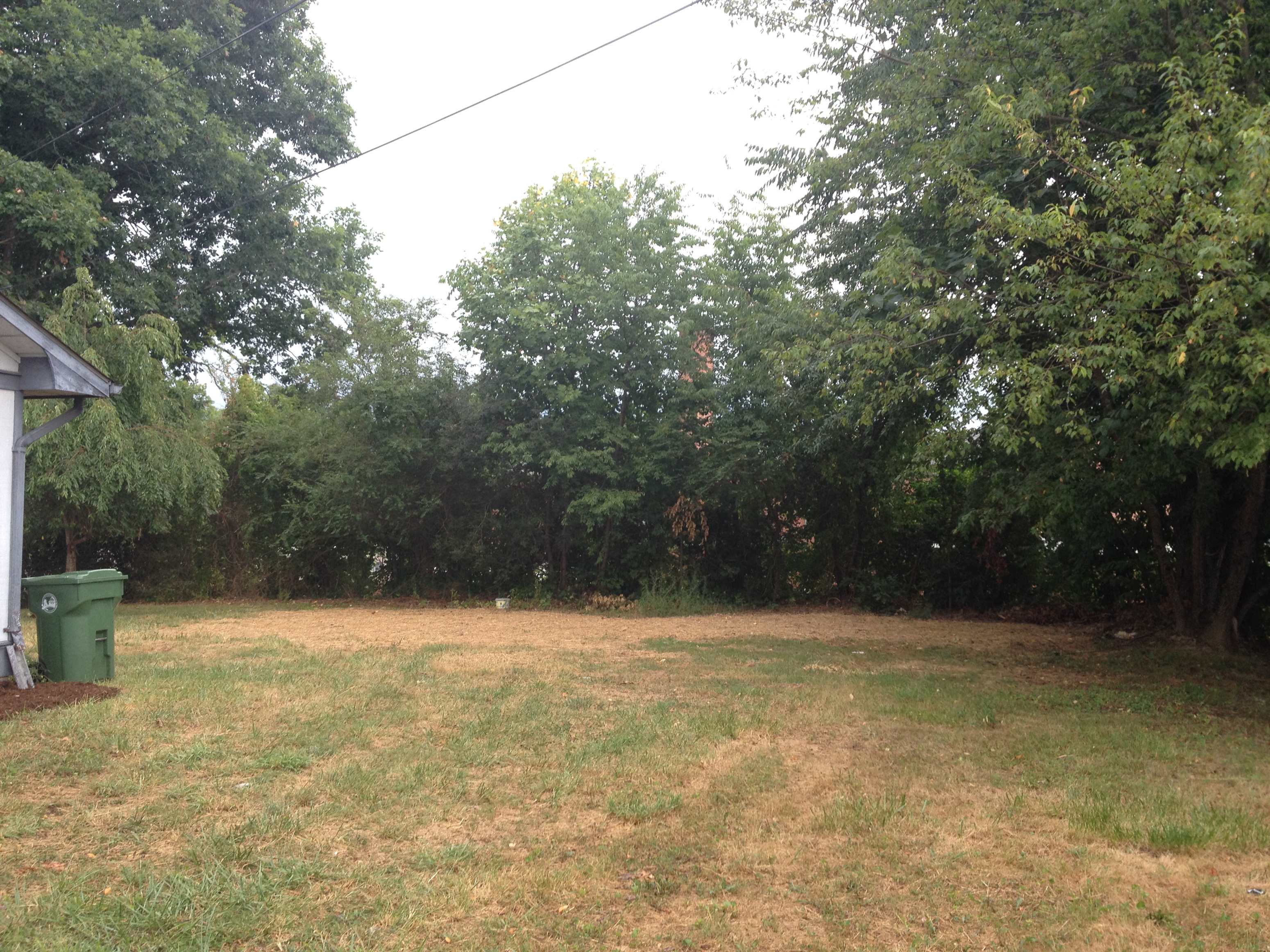 Gallery Photo 19