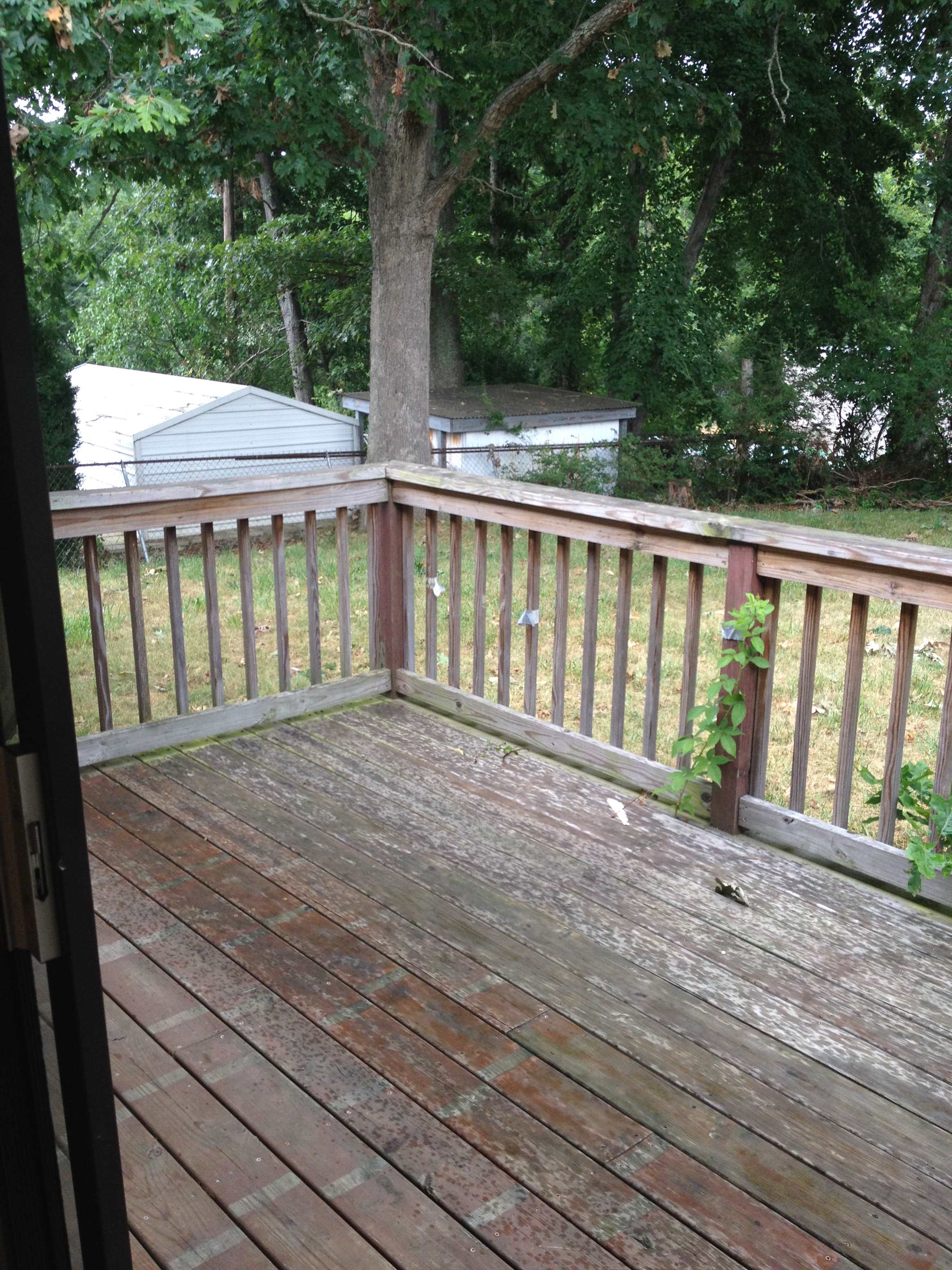 Gallery Photo 1