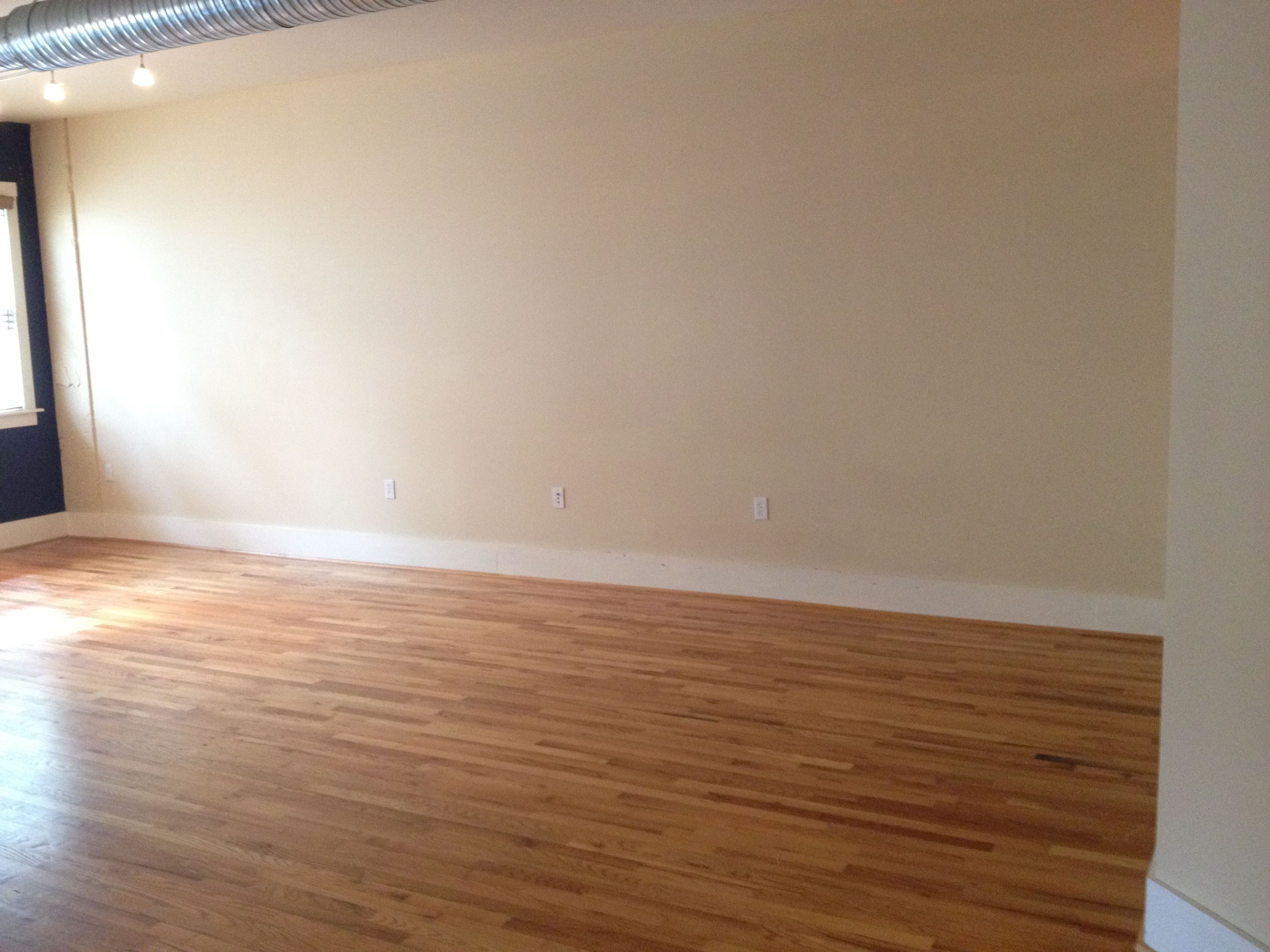 Gallery Photo 12