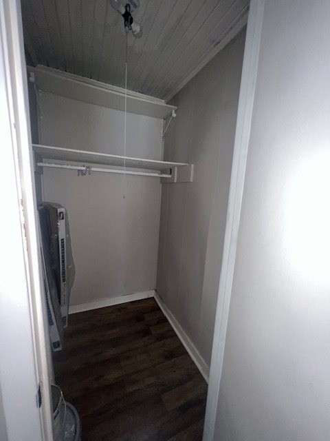Gallery Photo 4