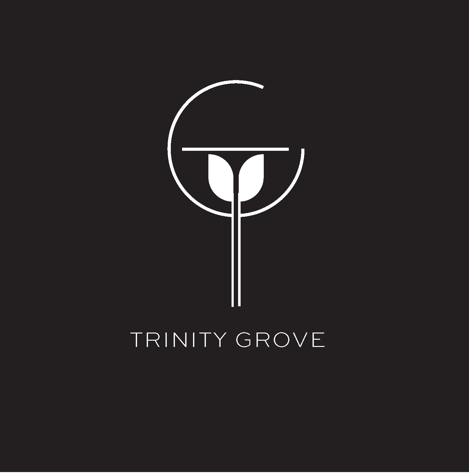 Trinity Grove Apartments in Beaumont TX