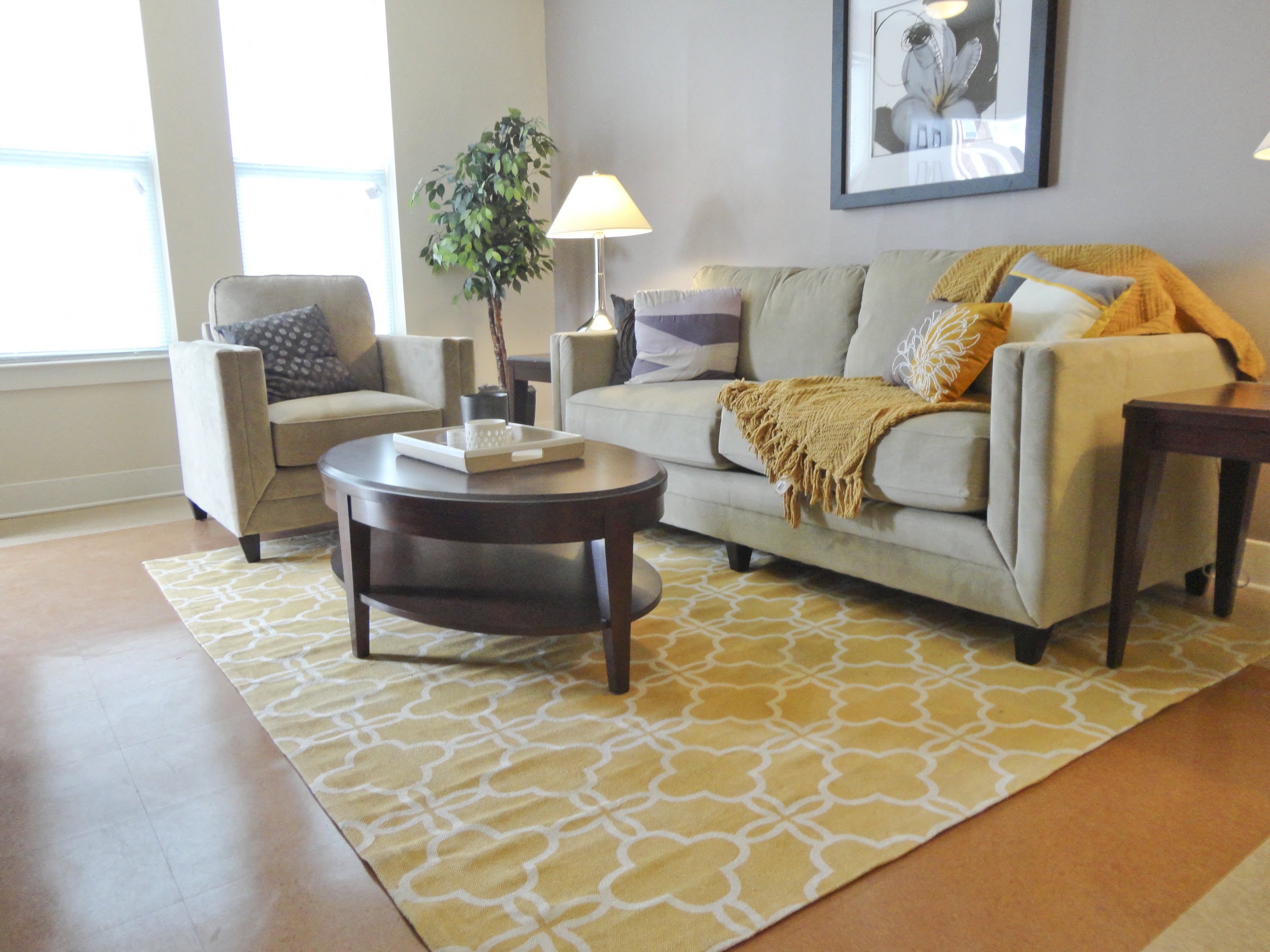 Rush Crossing apartment living room in Trenton, NJ