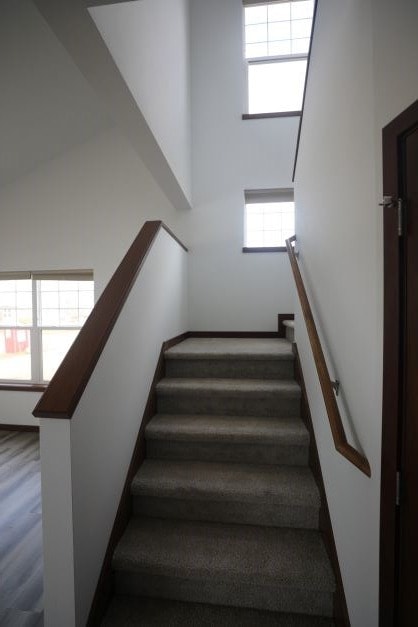 Gallery Photo 6