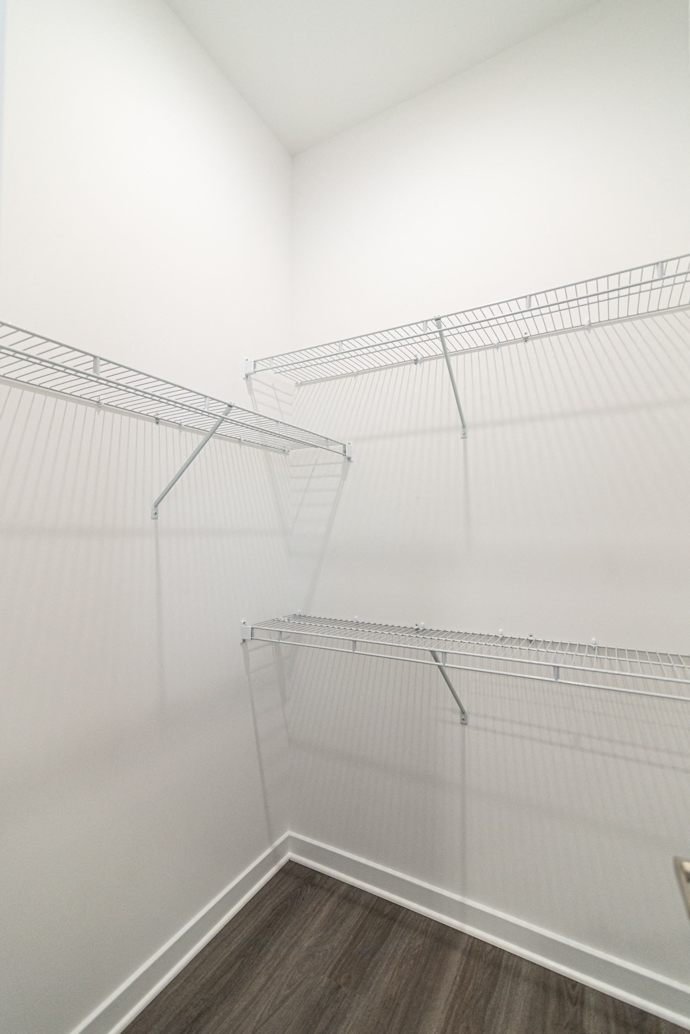 Gallery Photo 12
