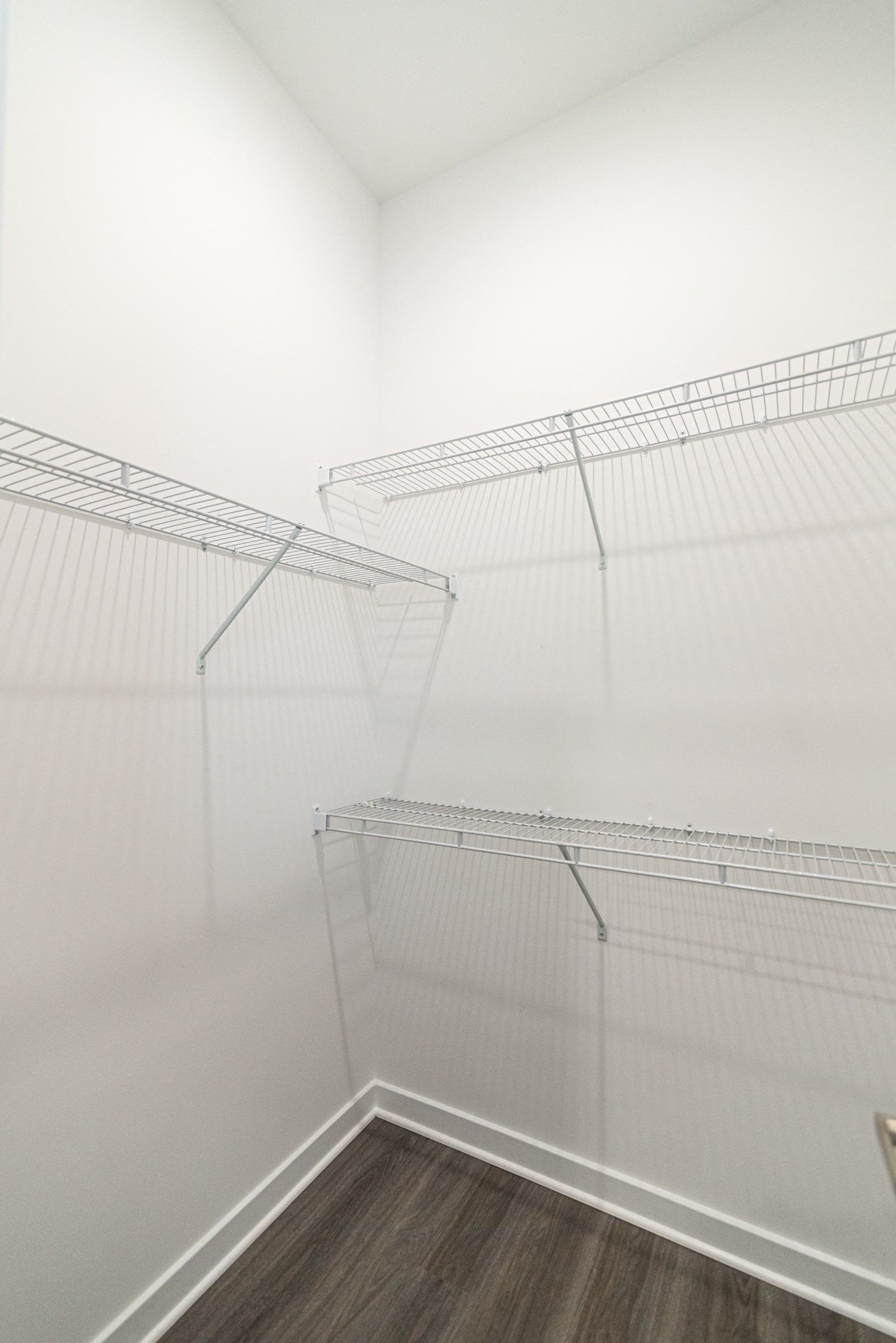 Gallery Photo 12