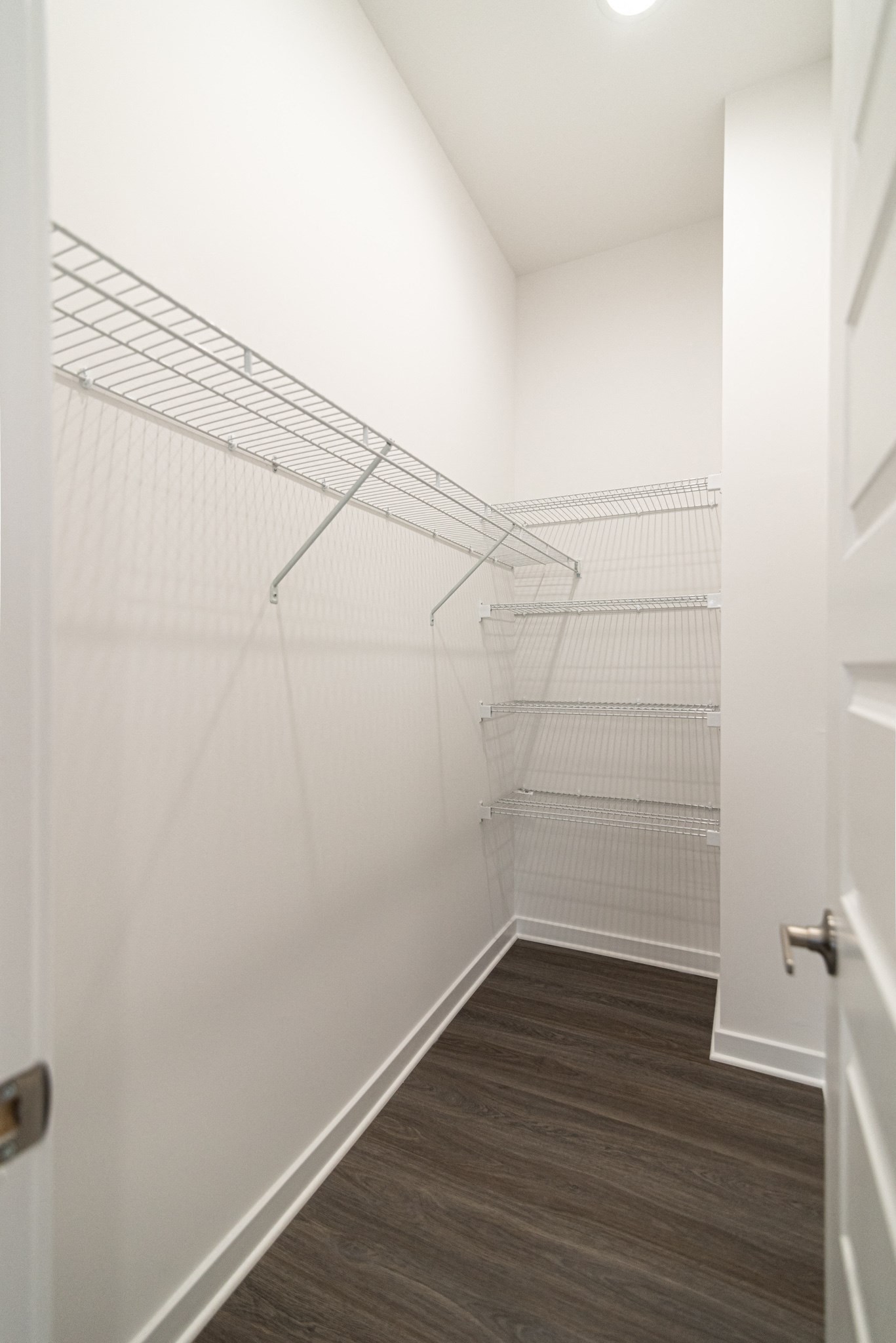Gallery Photo 14