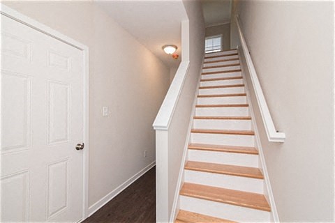 Gallery Photo 14