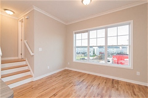 Gallery Photo 9