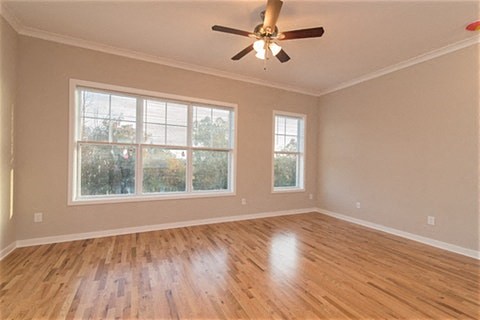 Gallery Photo 26