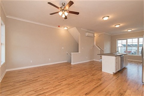 Gallery Photo 6