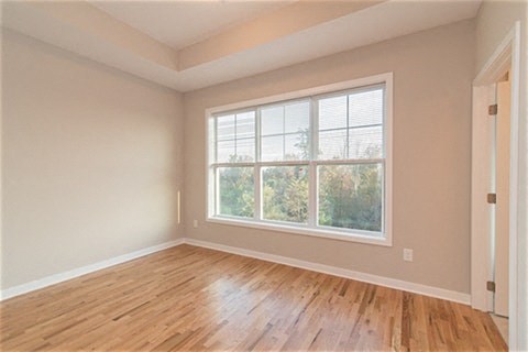 Gallery Photo 8