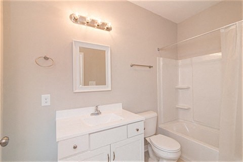 Gallery Photo 27