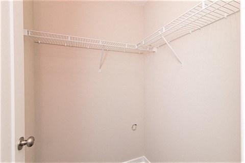 Gallery Photo 13