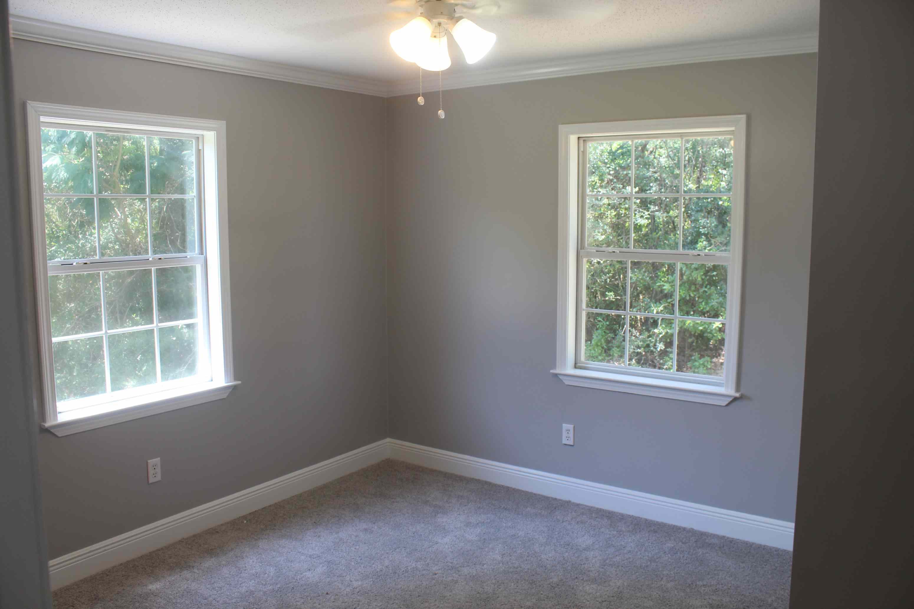 Gallery Photo 7