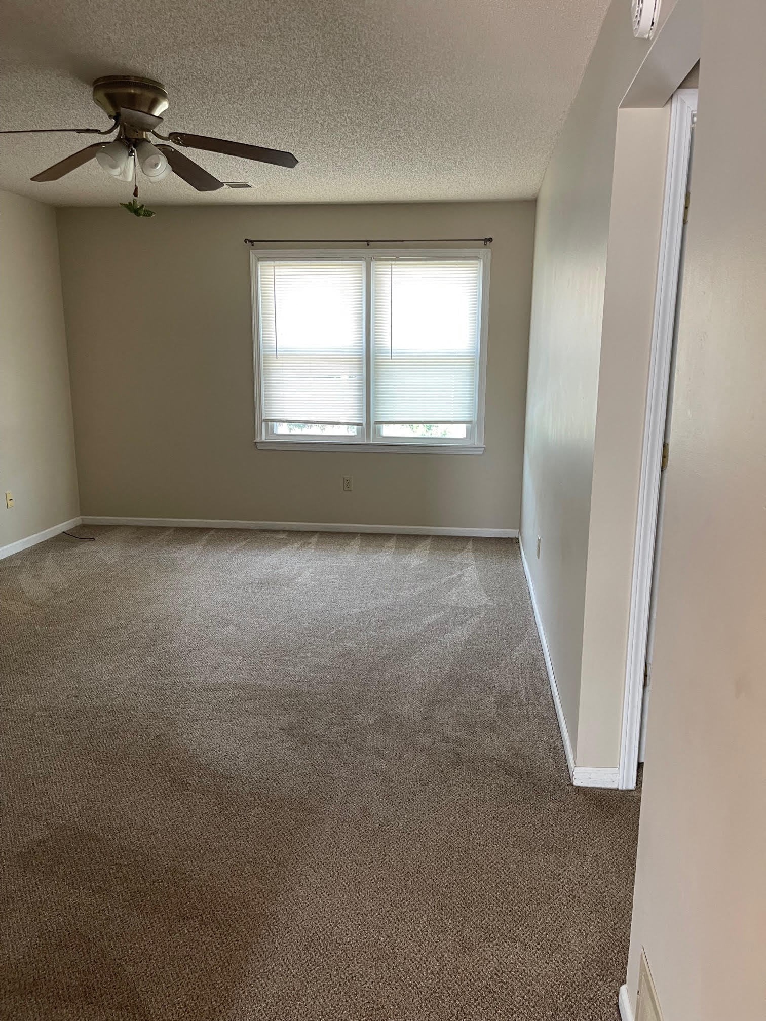 Gallery Photo 10