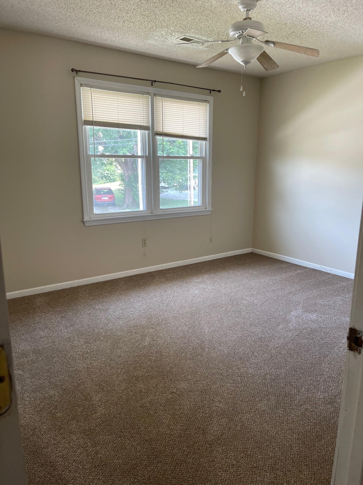 Gallery Photo 11