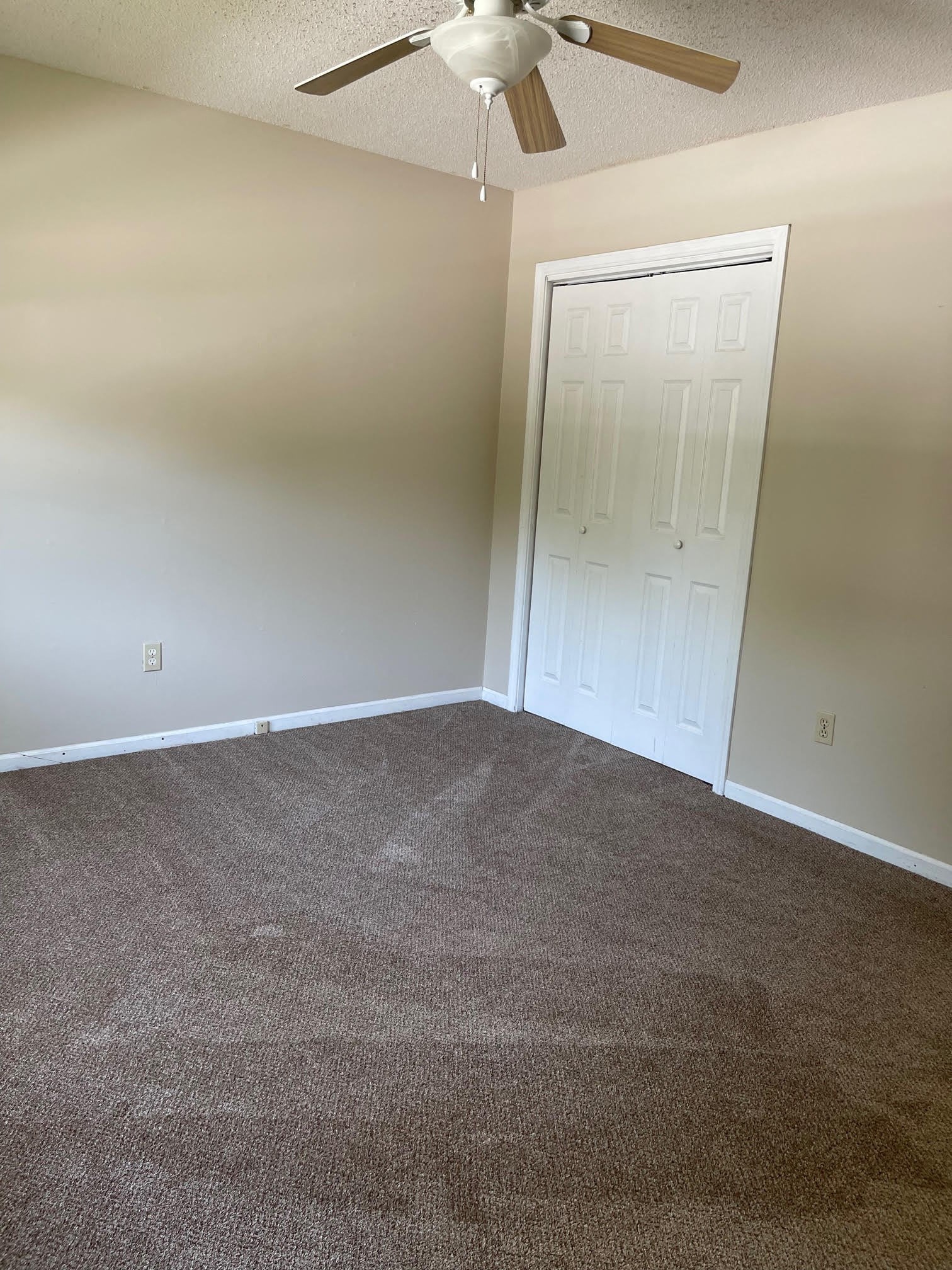 Gallery Photo 13