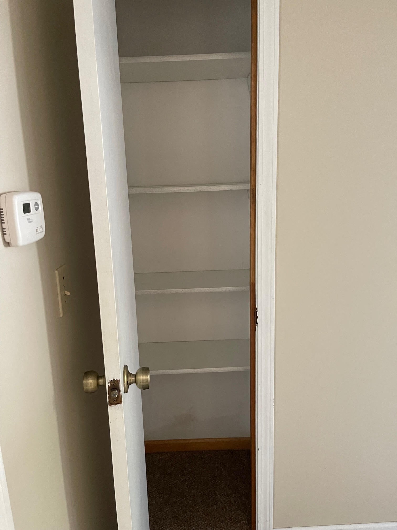 Gallery Photo 4