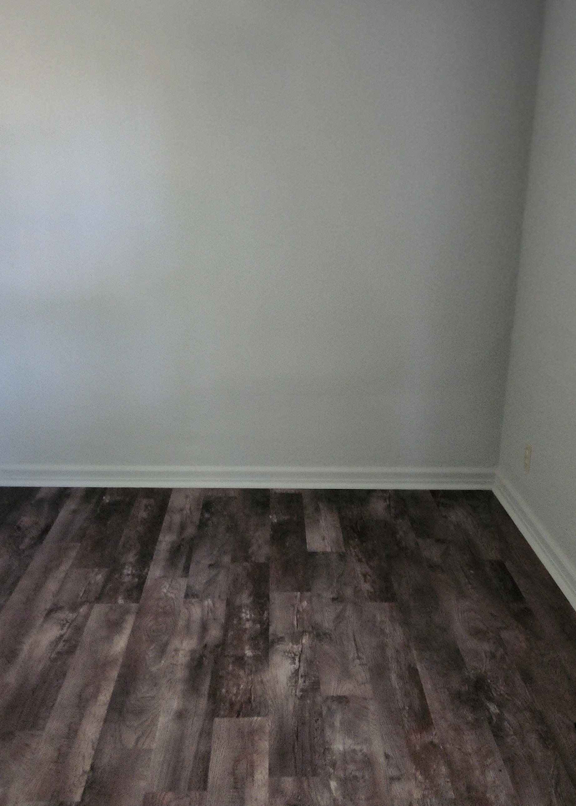 Gallery Photo 14