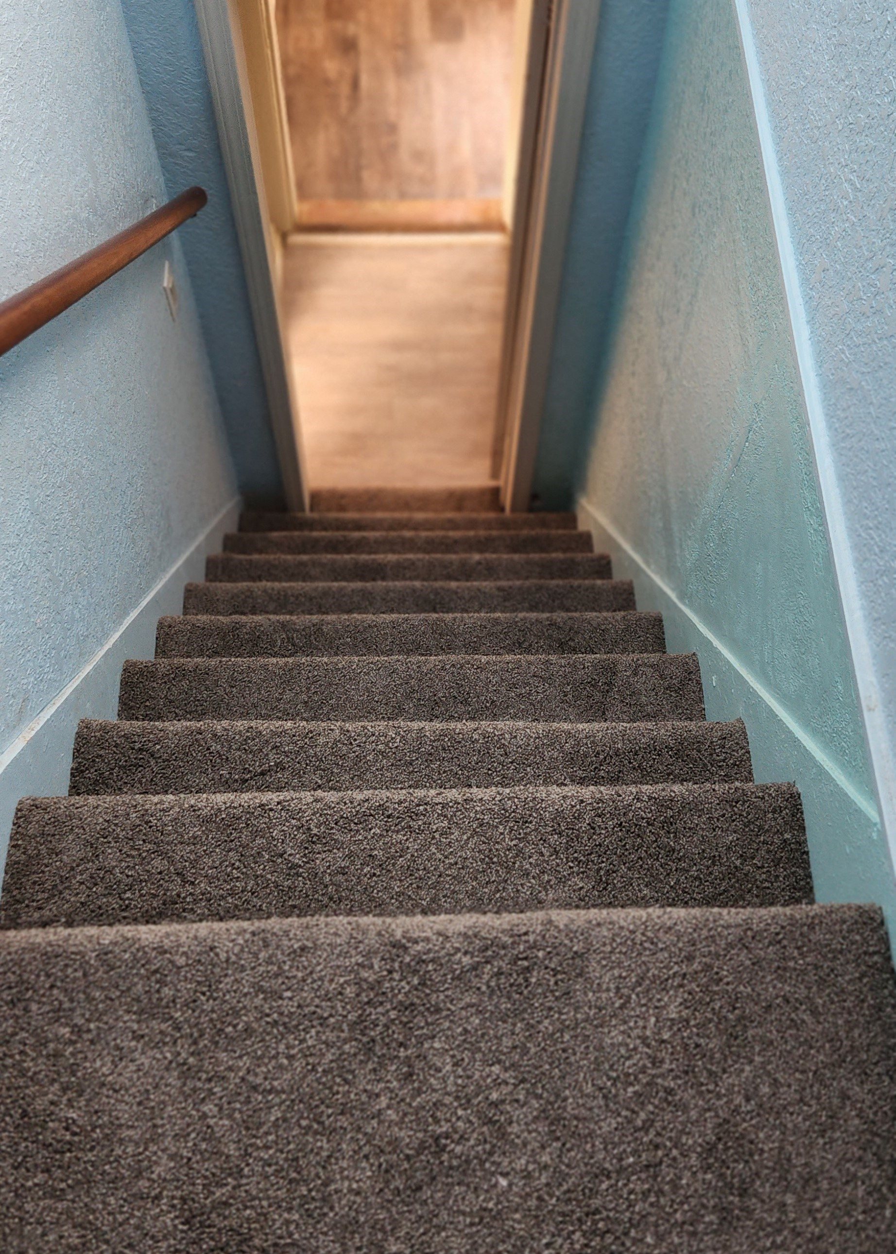 Gallery Photo 12