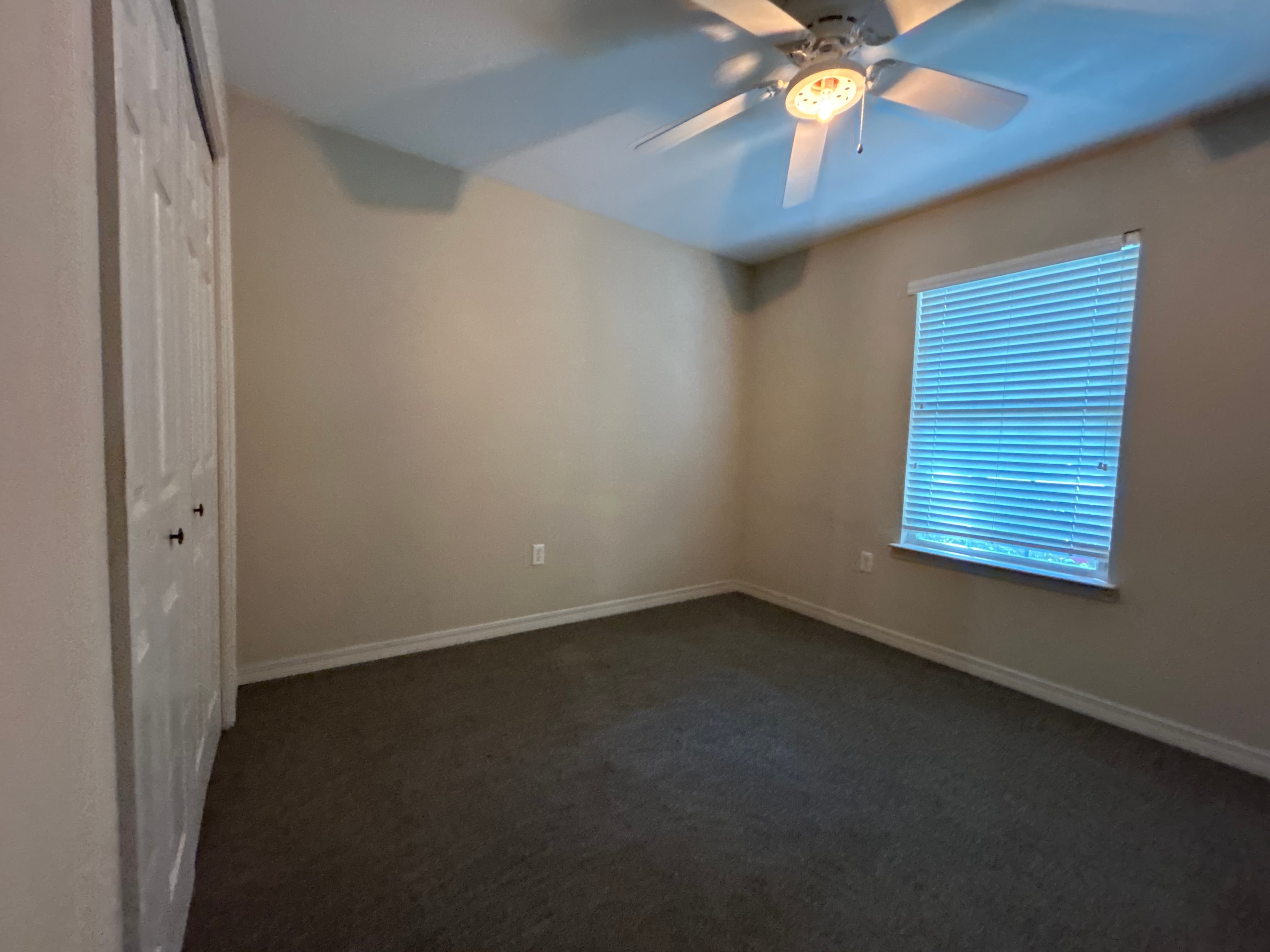 Gallery Photo 15