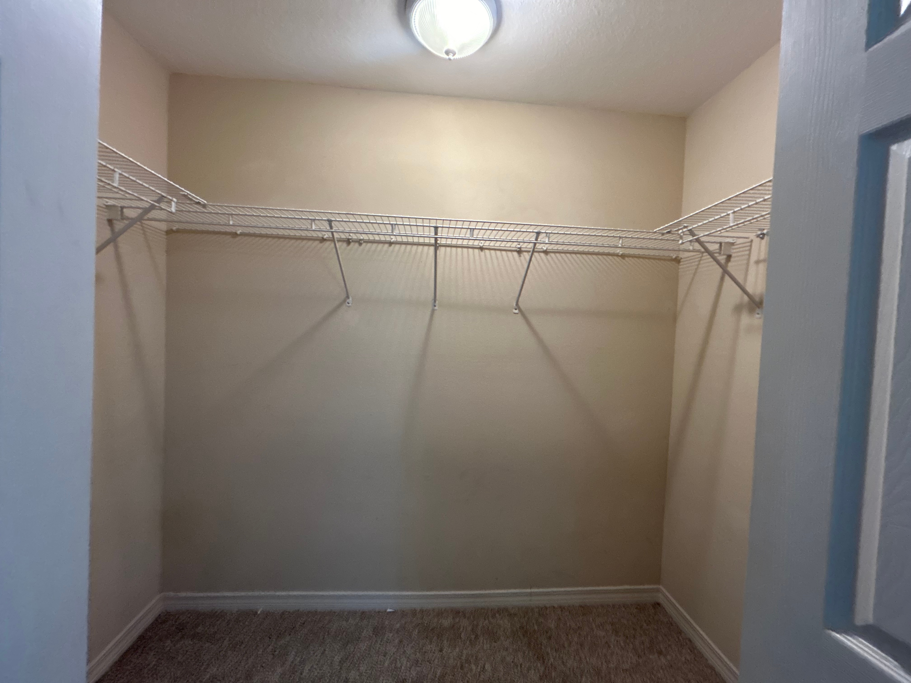 Gallery Photo 16