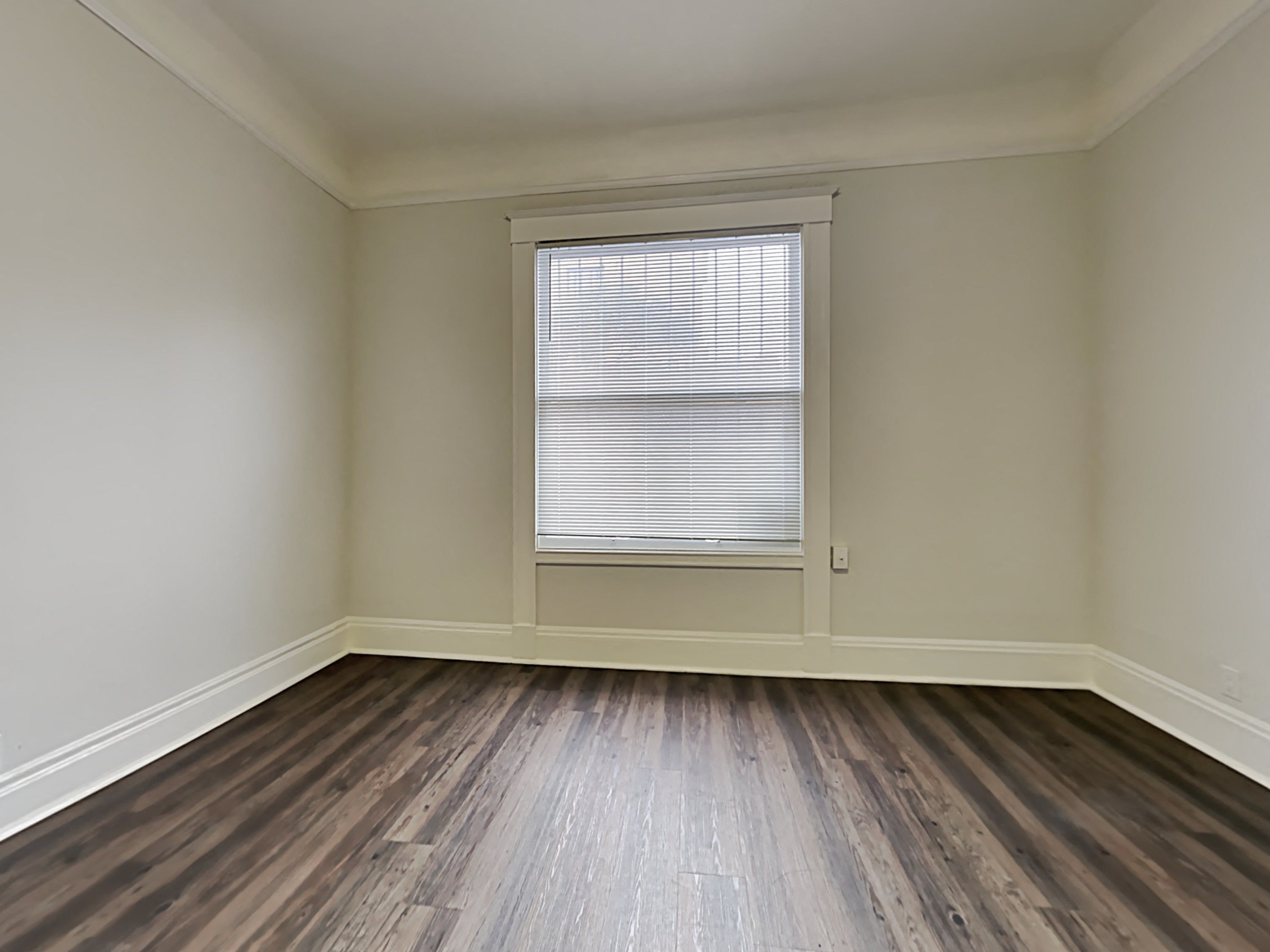 Gallery Photo 1