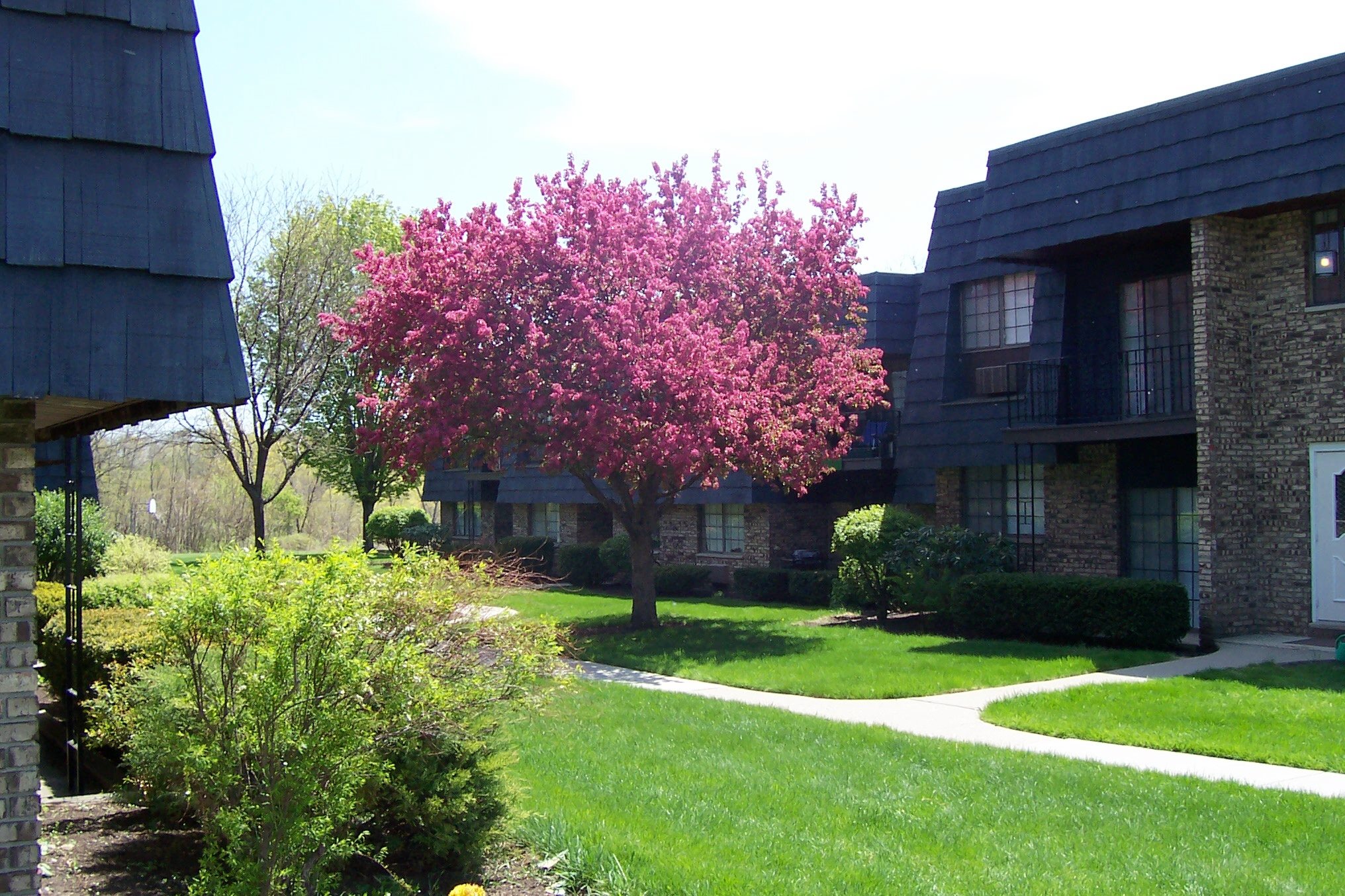 Bethlehem Terrace Apartments in Slingerlands, NY