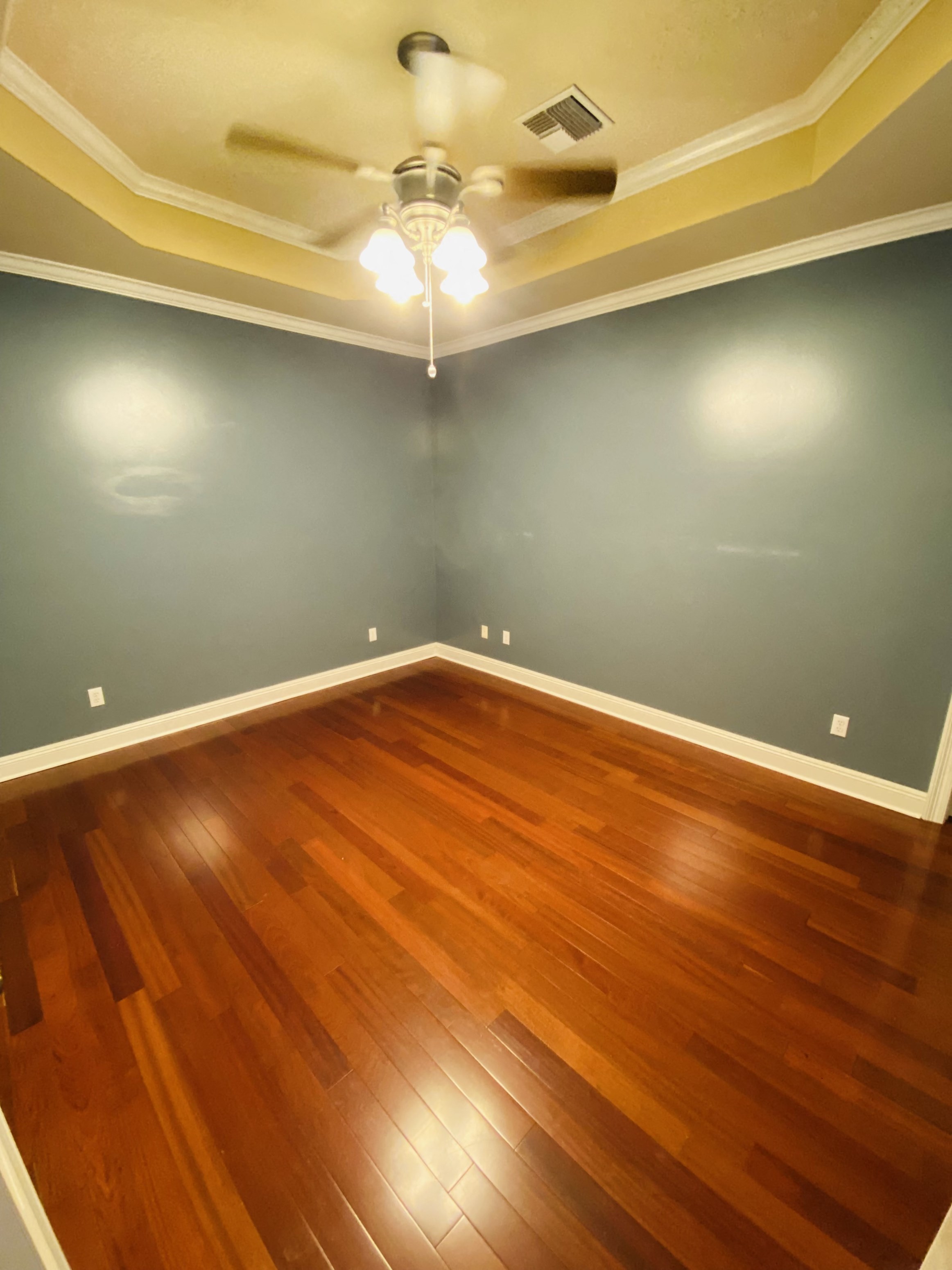 Gallery Photo 11