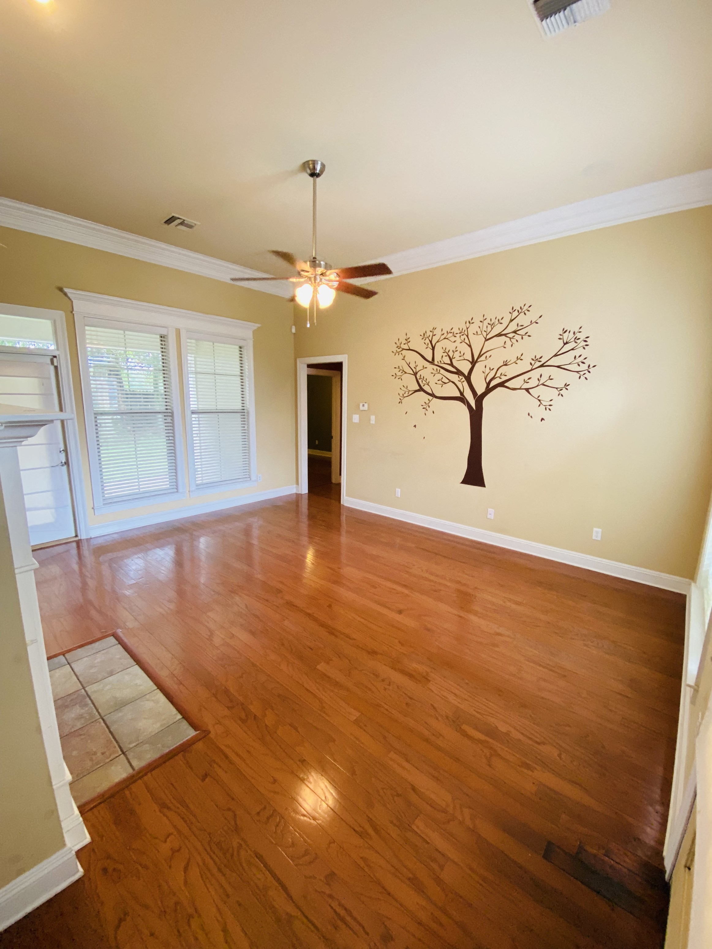 Gallery Photo 14
