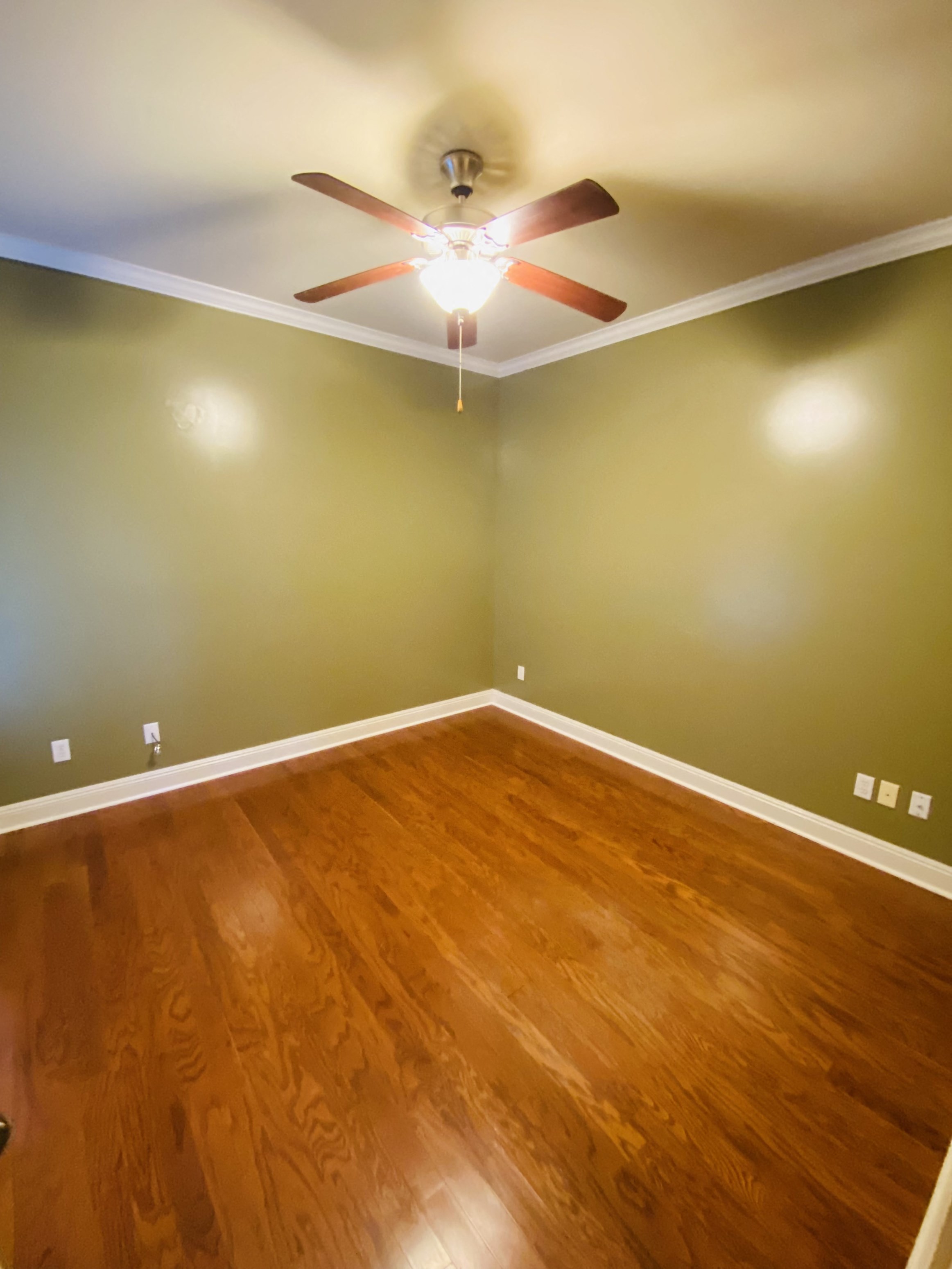 Gallery Photo 13