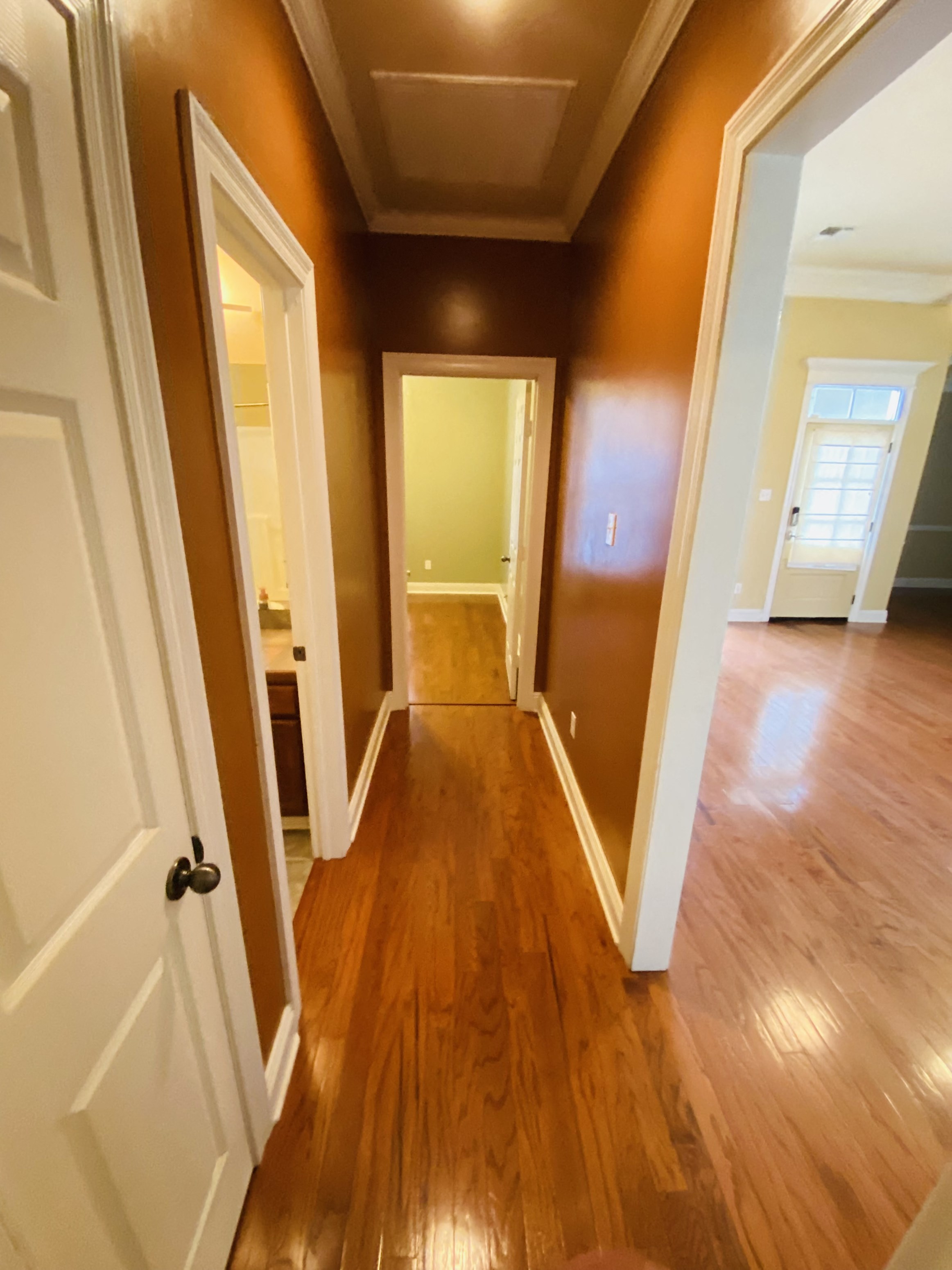 Gallery Photo 7