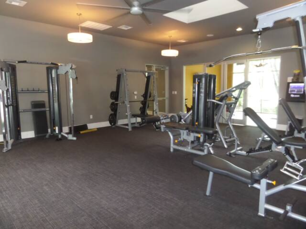 Gallery Photo 16