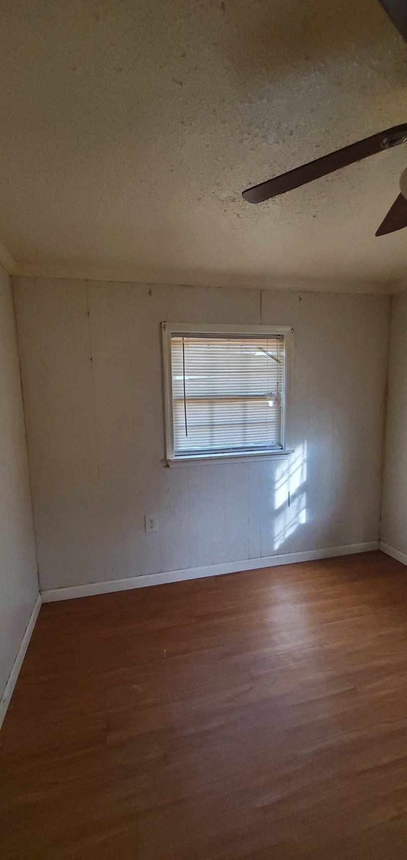 Gallery Photo 1