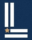 Liberty View Logo with navy blue background, white stripes, and a gold star.