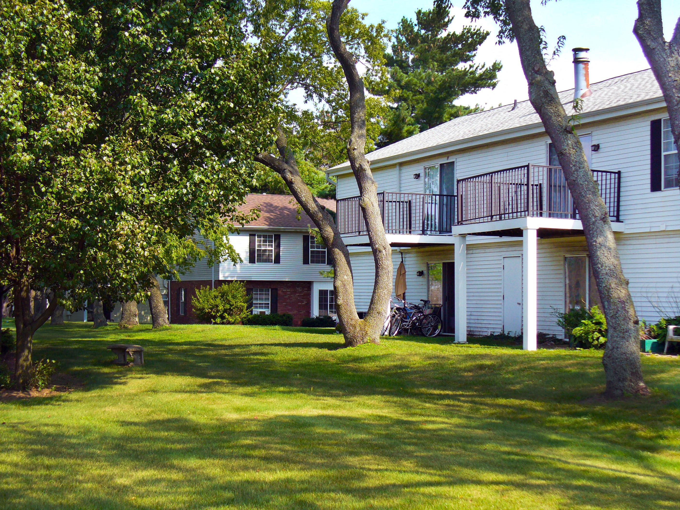 Maple Lane Backyard