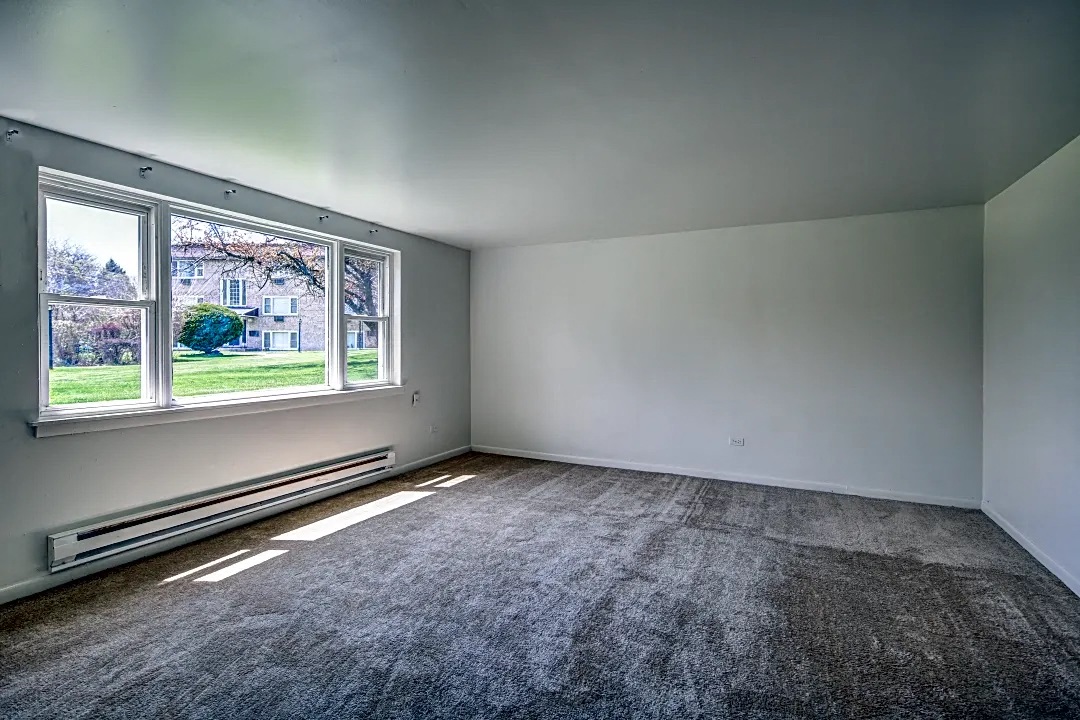 Gallery Photo 1