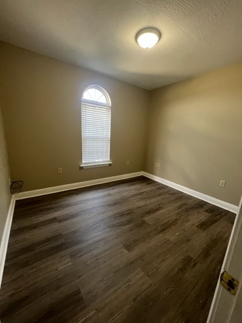 Gallery Photo 5
