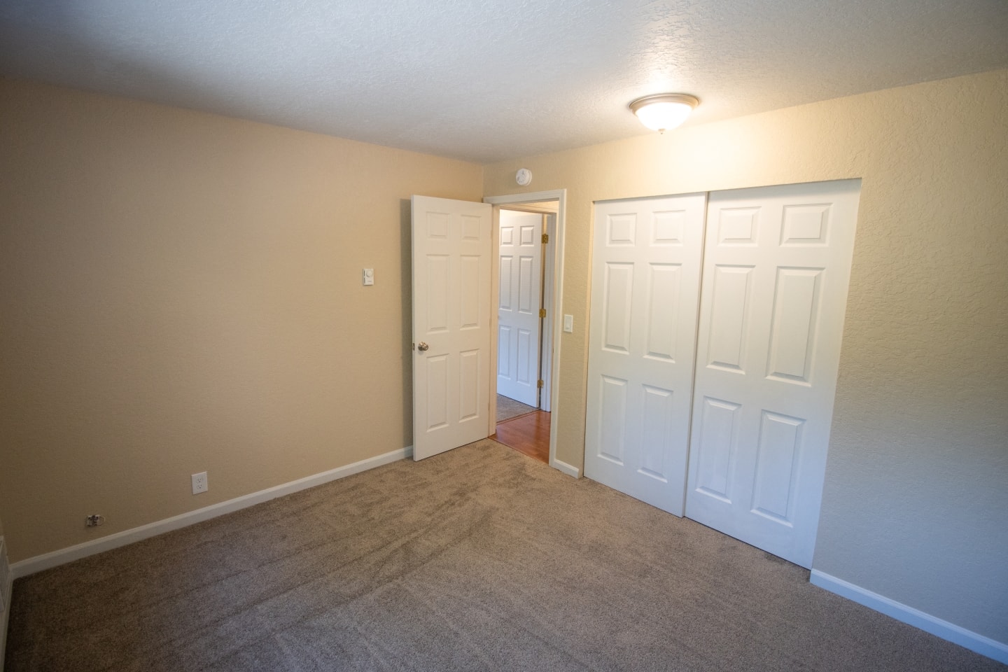 Gallery Photo 6