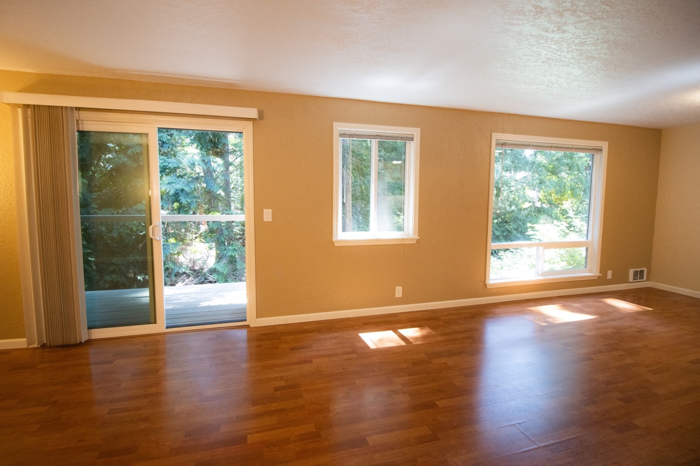 Gallery Photo 11