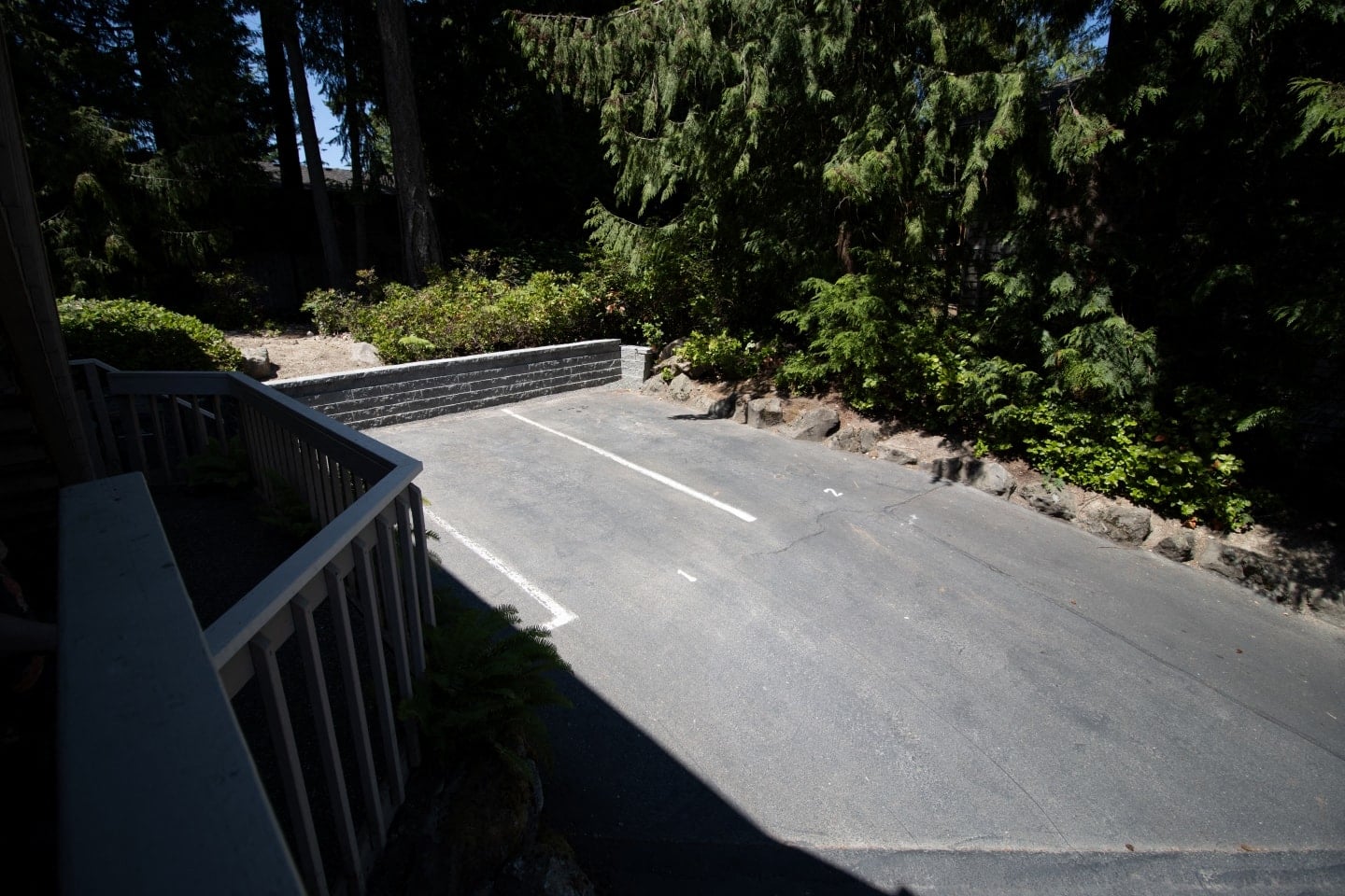 Gallery Photo 12